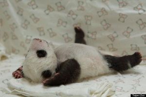 初めてでも安心♡